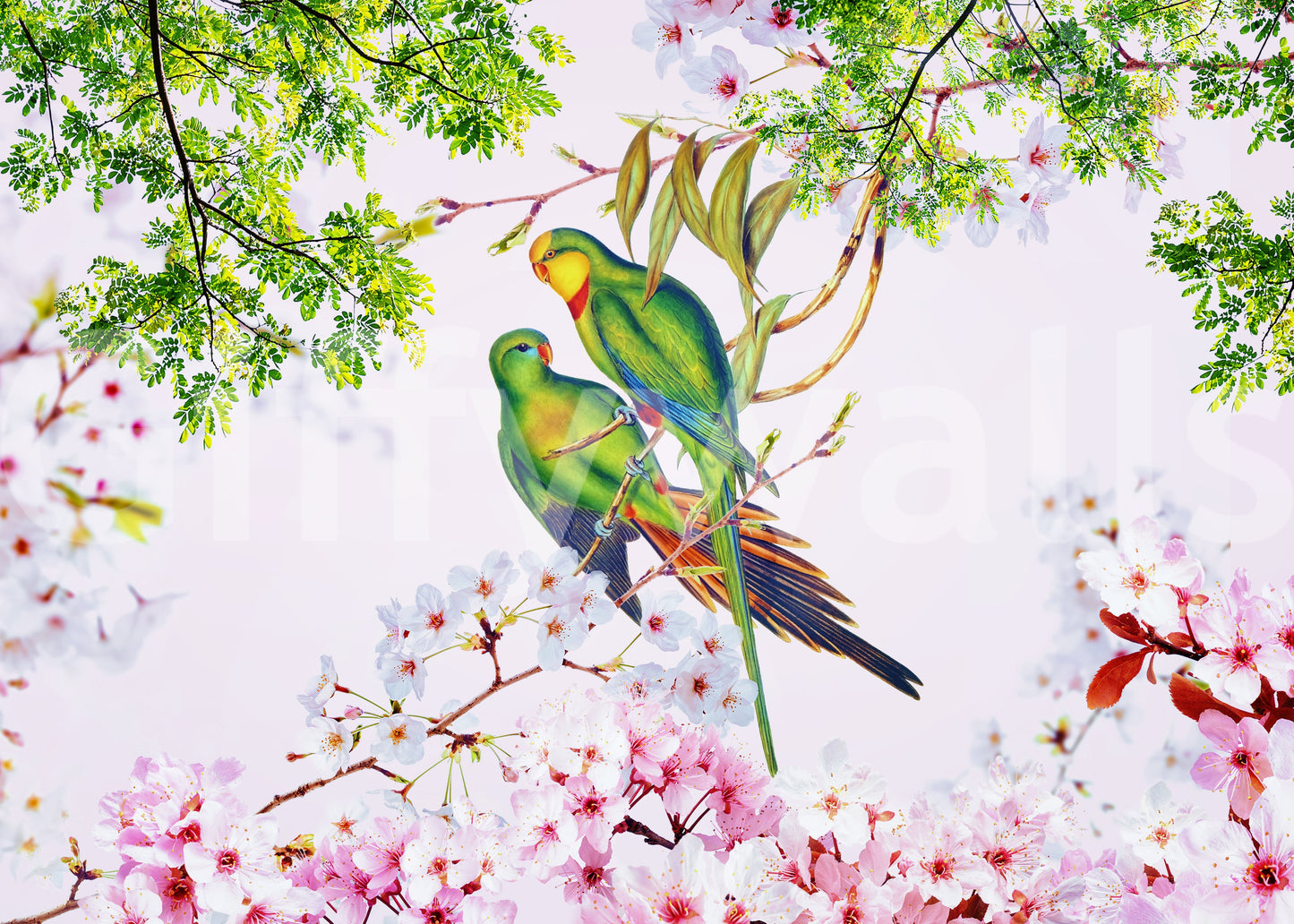 Cherry Blossom Parrots Wall Mural