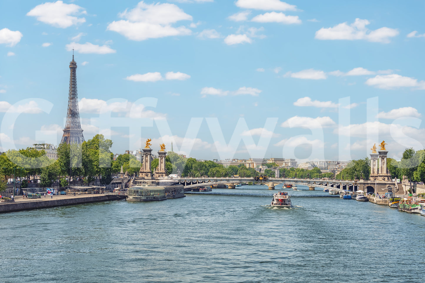 Seine Reflections Wall Mural