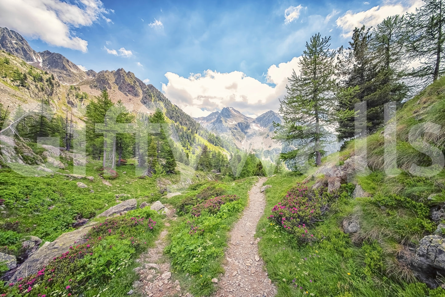 Alpine Trail Wall Mural