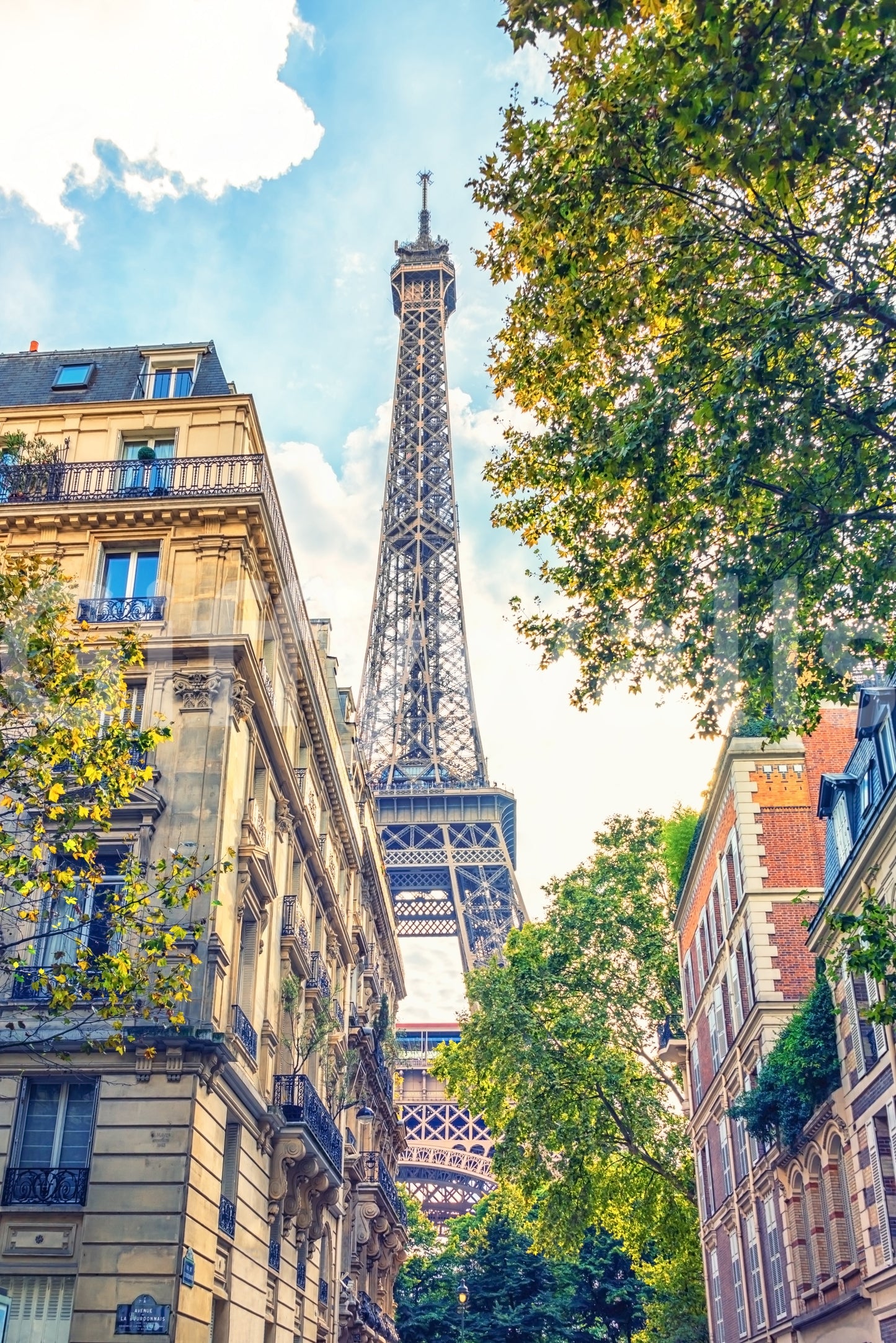 Eiffel Elegance Wall Mural