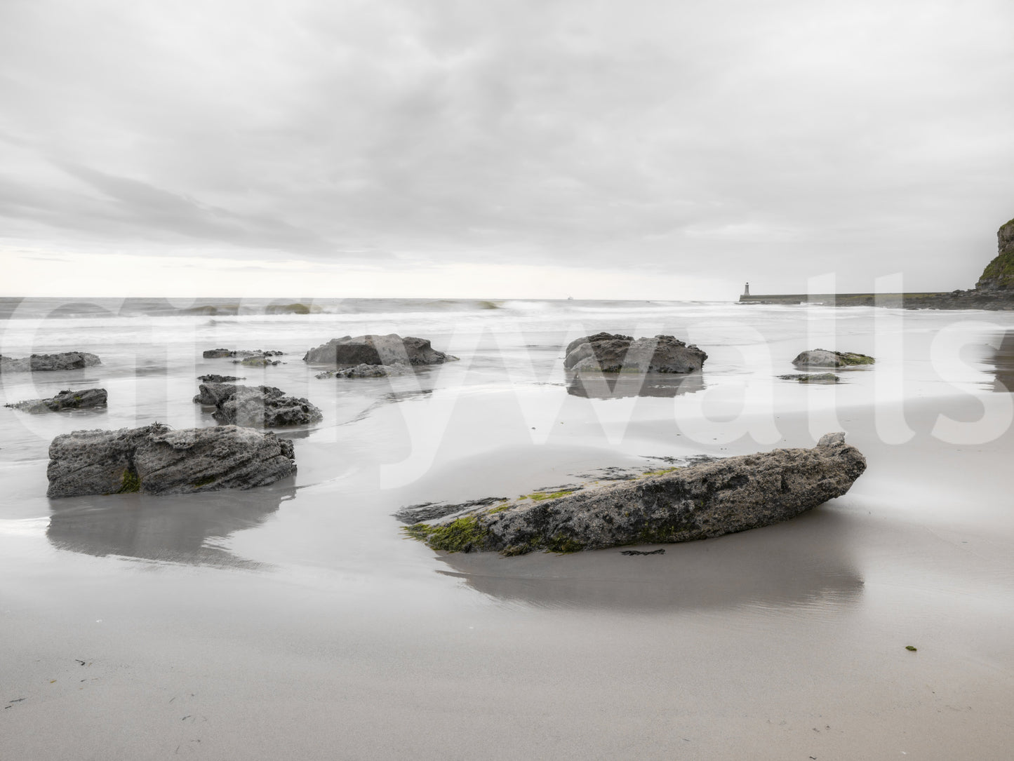 Shoreline Hues Wall Mural