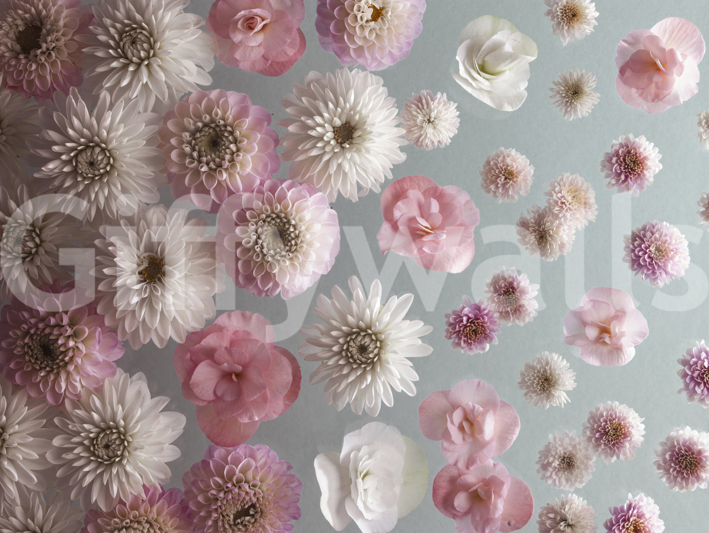 Bloom Bliss Wall Mural