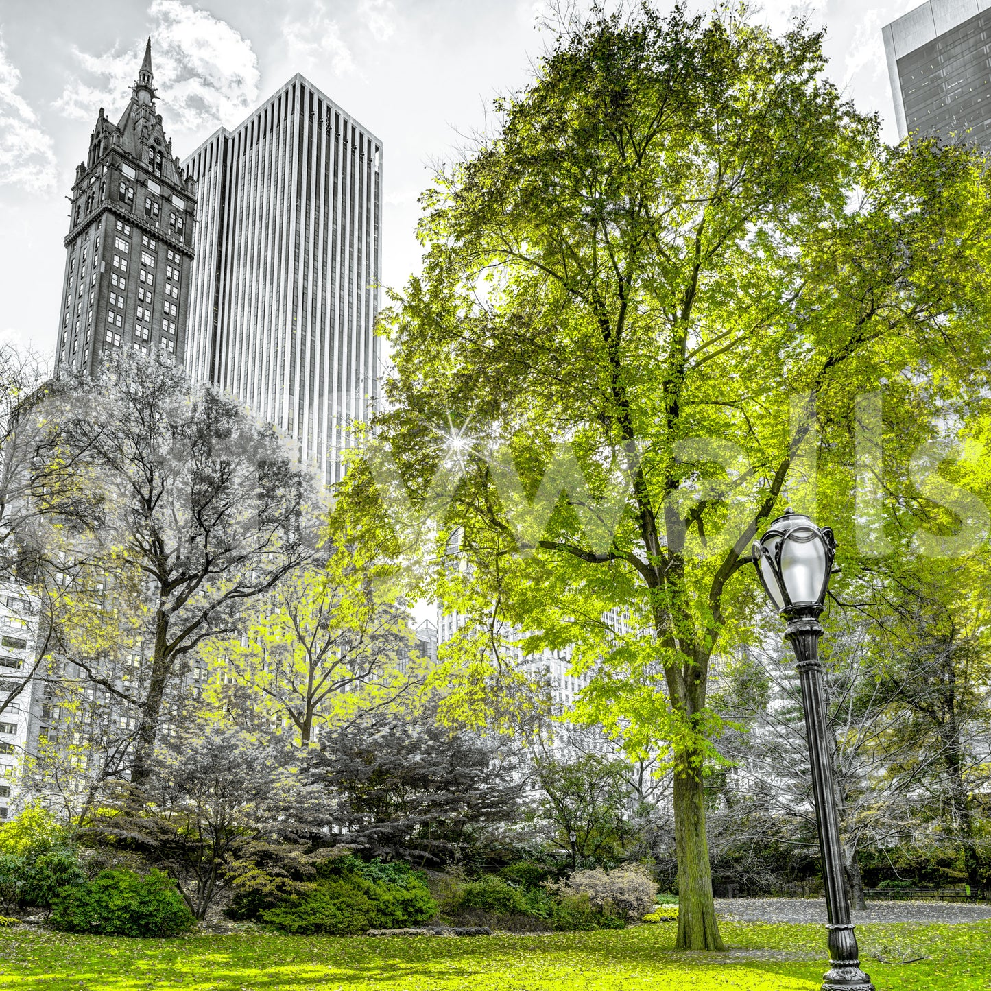 Emerald Metropolis Wall Mural