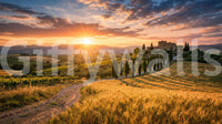 Tuscan golden hour wall mural with sunlit wheat fields and cypress-lined road view
