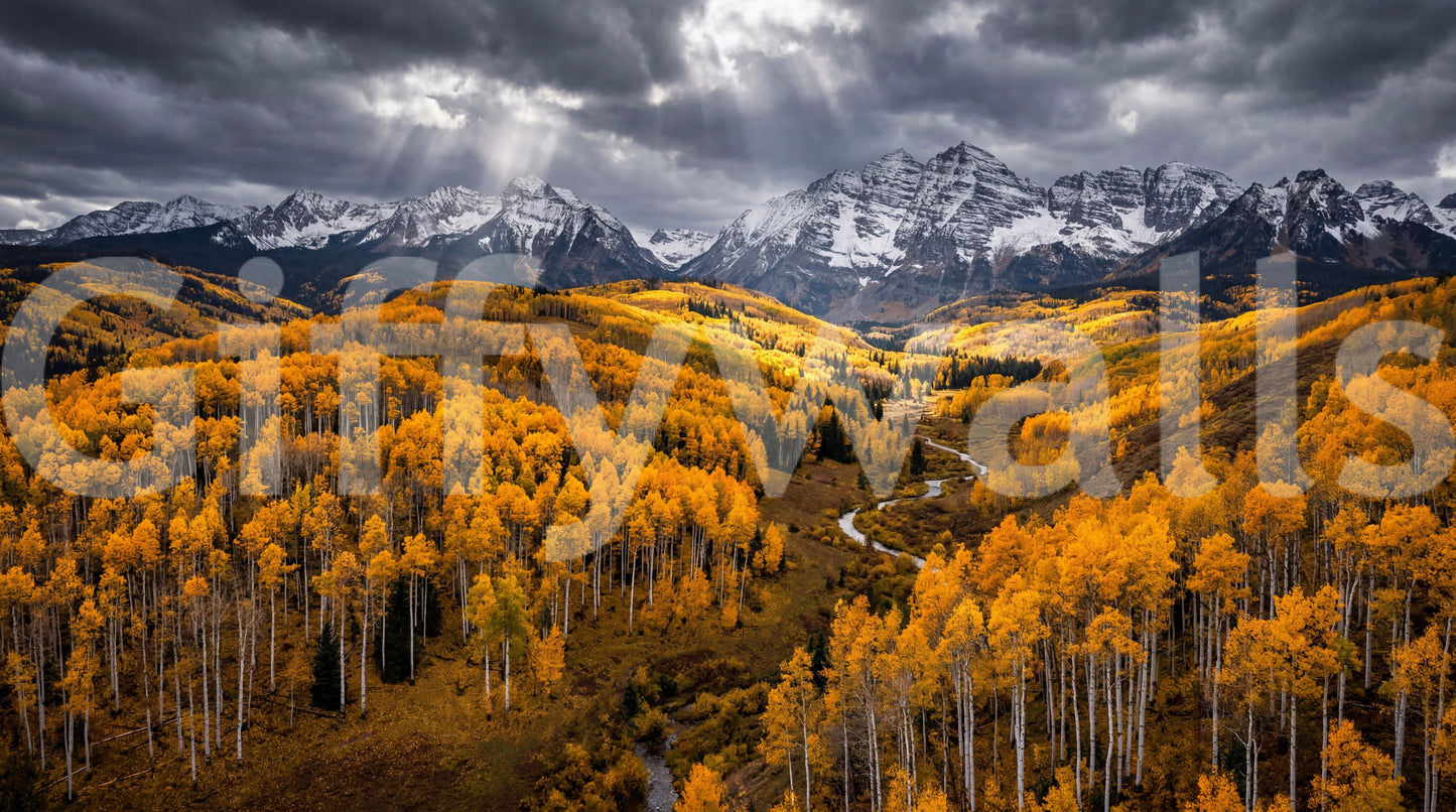 Sunlit aspen valley wall mural with golden forest and snowy mountain panorama view