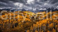 Sunlit aspen valley wall mural with golden forest and snowy mountain panorama view