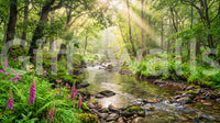 Sunlit Woodland Stream wall mural with lush plants and stream detail