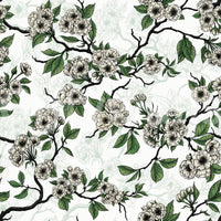 Cherry Blossom on White wallpaper with dark branches and soft blooms