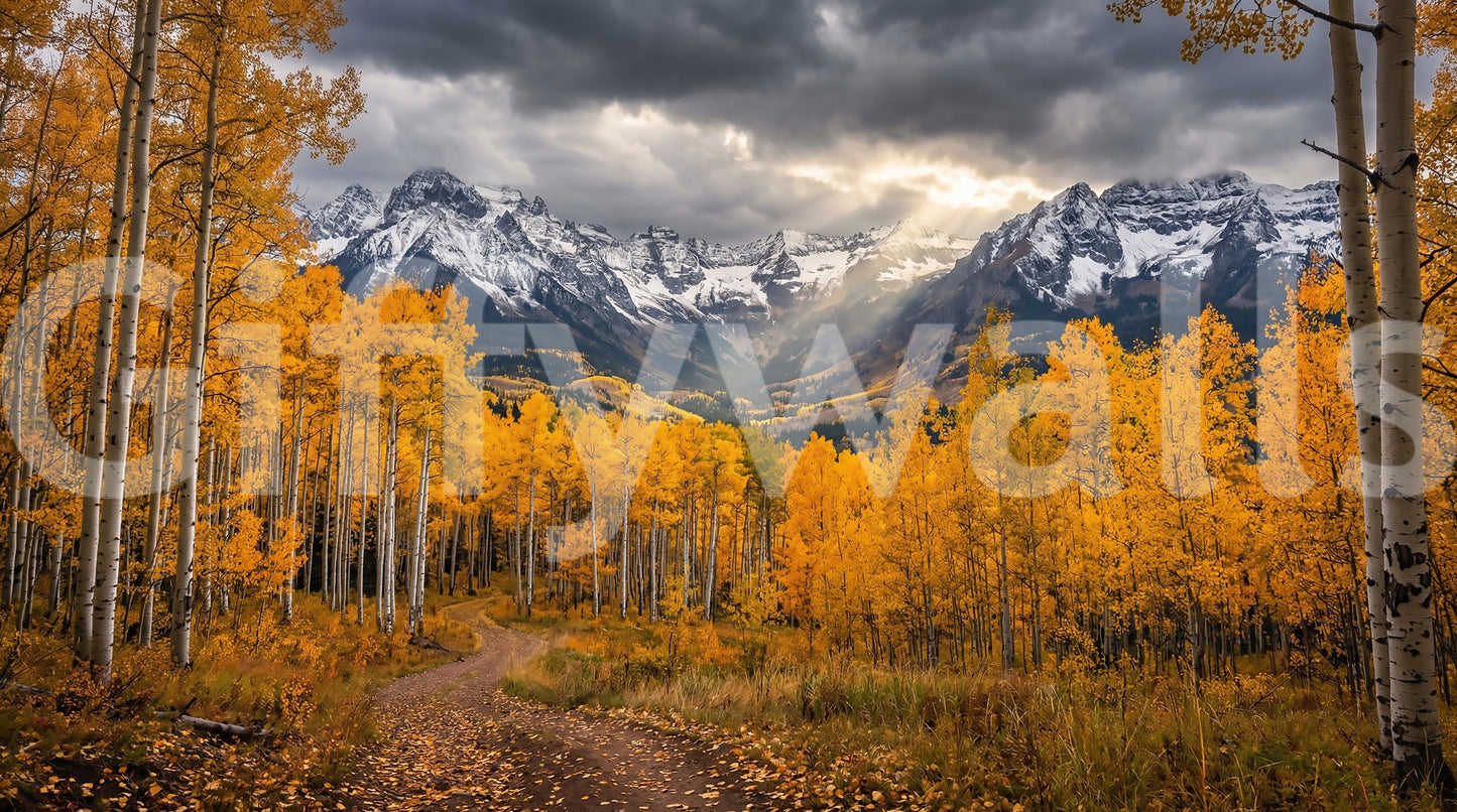 Golden Aspen Majesty wall mural with bright yellow foliage and path