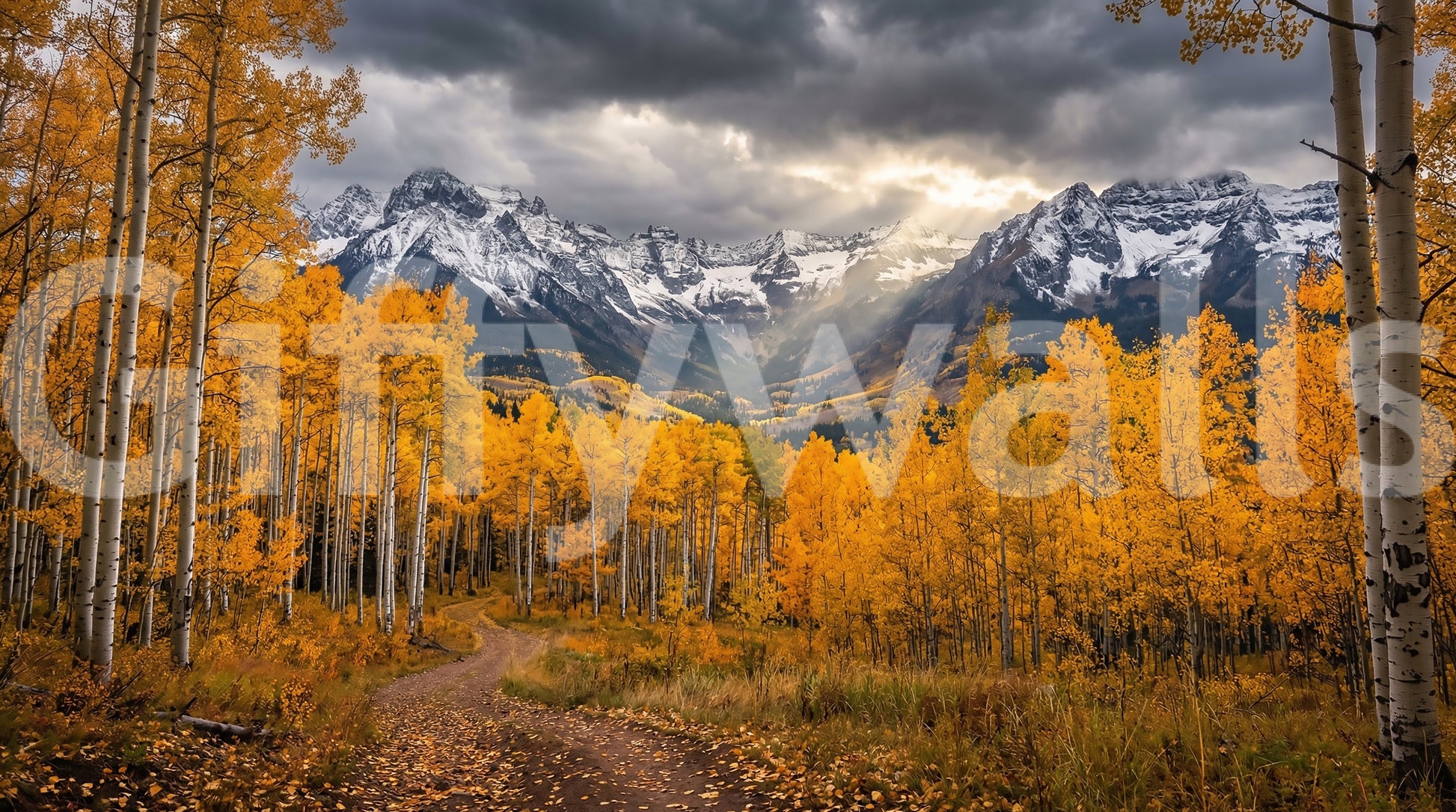Golden Aspen Majesty wall mural with bright yellow foliage and path