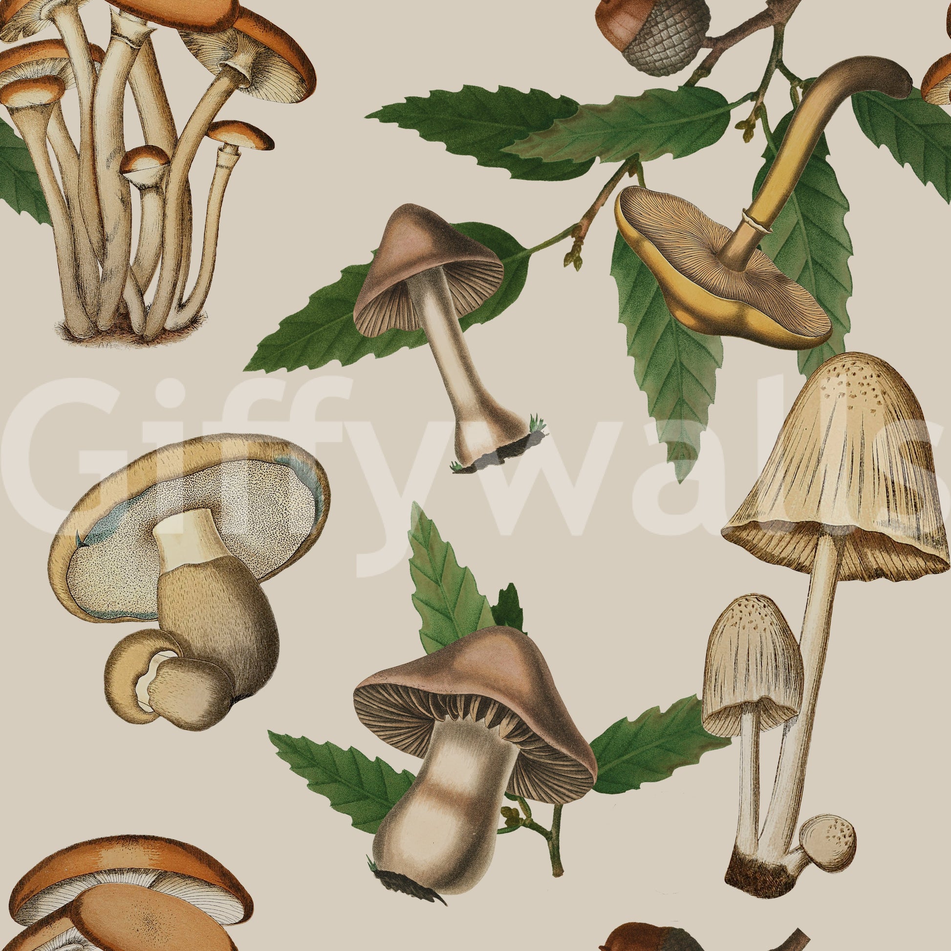 Woodland-themed Ancient Forest Mushrooms with oak Acorns Wallpaper.