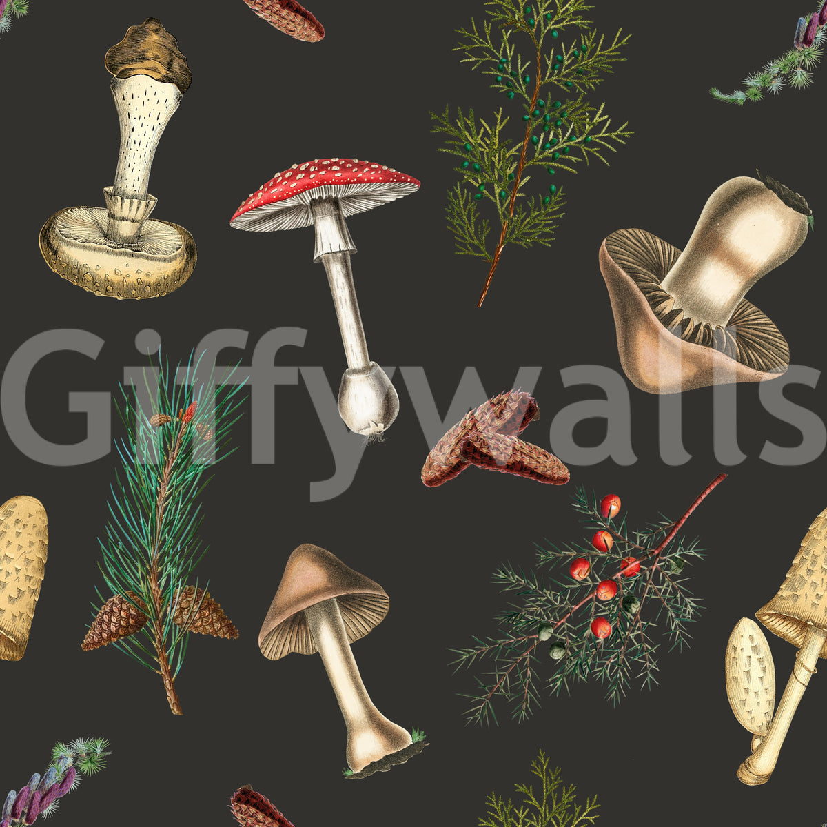 Detailed fungi studies give mushrooms forest fir wallpaper a classic look