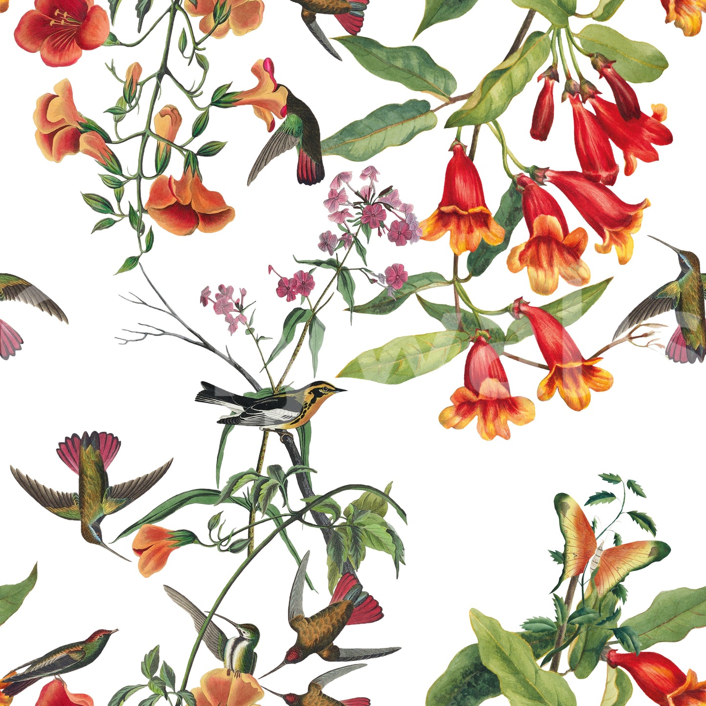 Graceful branches define Tropical Garden wallpaper with colorful birds