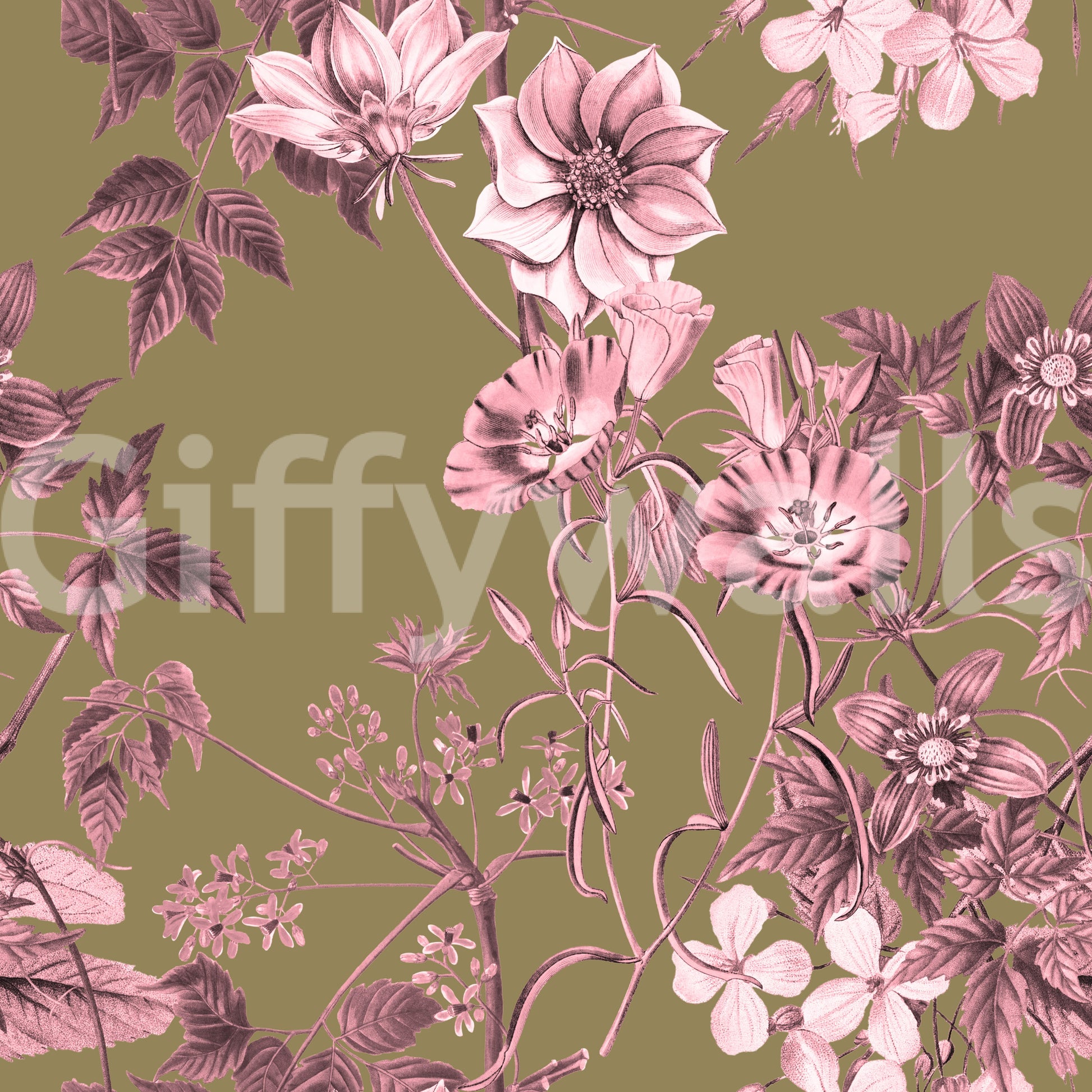 Soft botanical layout with Heirloom Rose flowers and vine lines