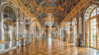 Deep blue ceiling canvases on the Versailles Palace Hall of Mirrors wall mural