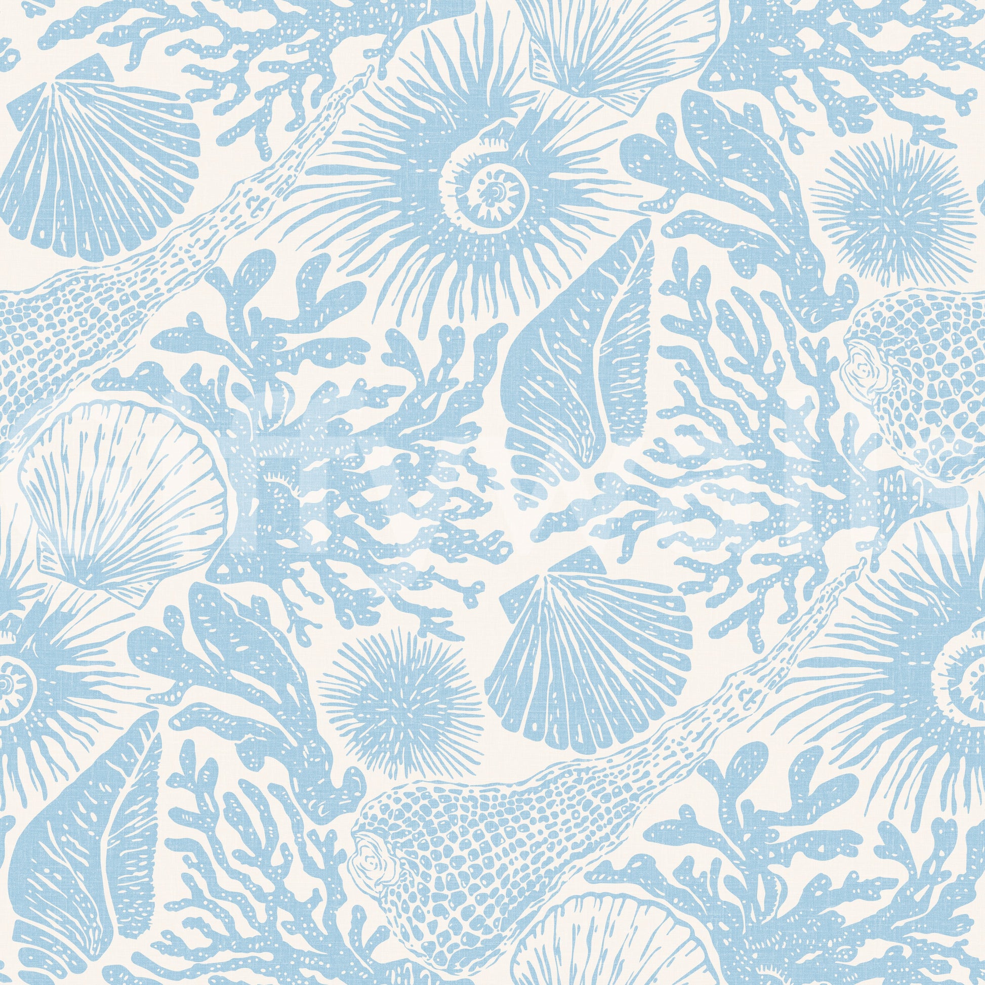 Dense coastal motif repeat across the Seashell Coral soft blue wallpaper