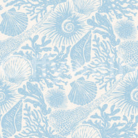 Dense coastal motif repeat across the Seashell Coral soft blue wallpaper