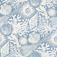Light azure background of the Boho Seashell Coral Off-White wallpaper surface