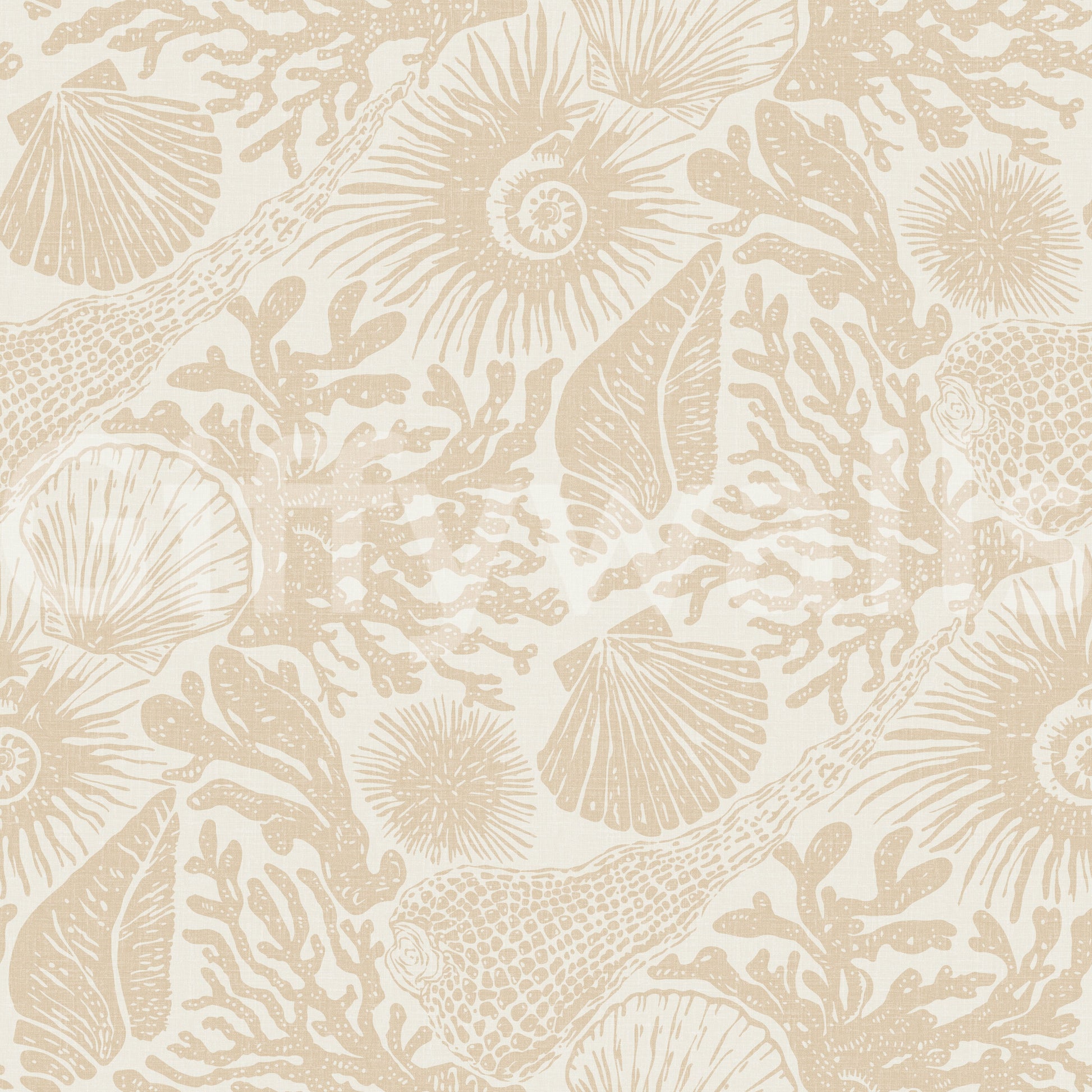Coral branch and conch motifs in the Seashell Sand wallpaper surface