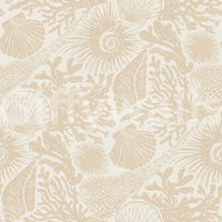 Coral branch and conch motifs in the Seashell Sand wallpaper surface