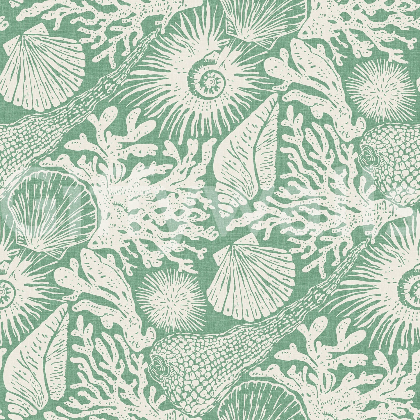 Continuous coastal sketchbook layout across boho seashell aqua green wallpaper