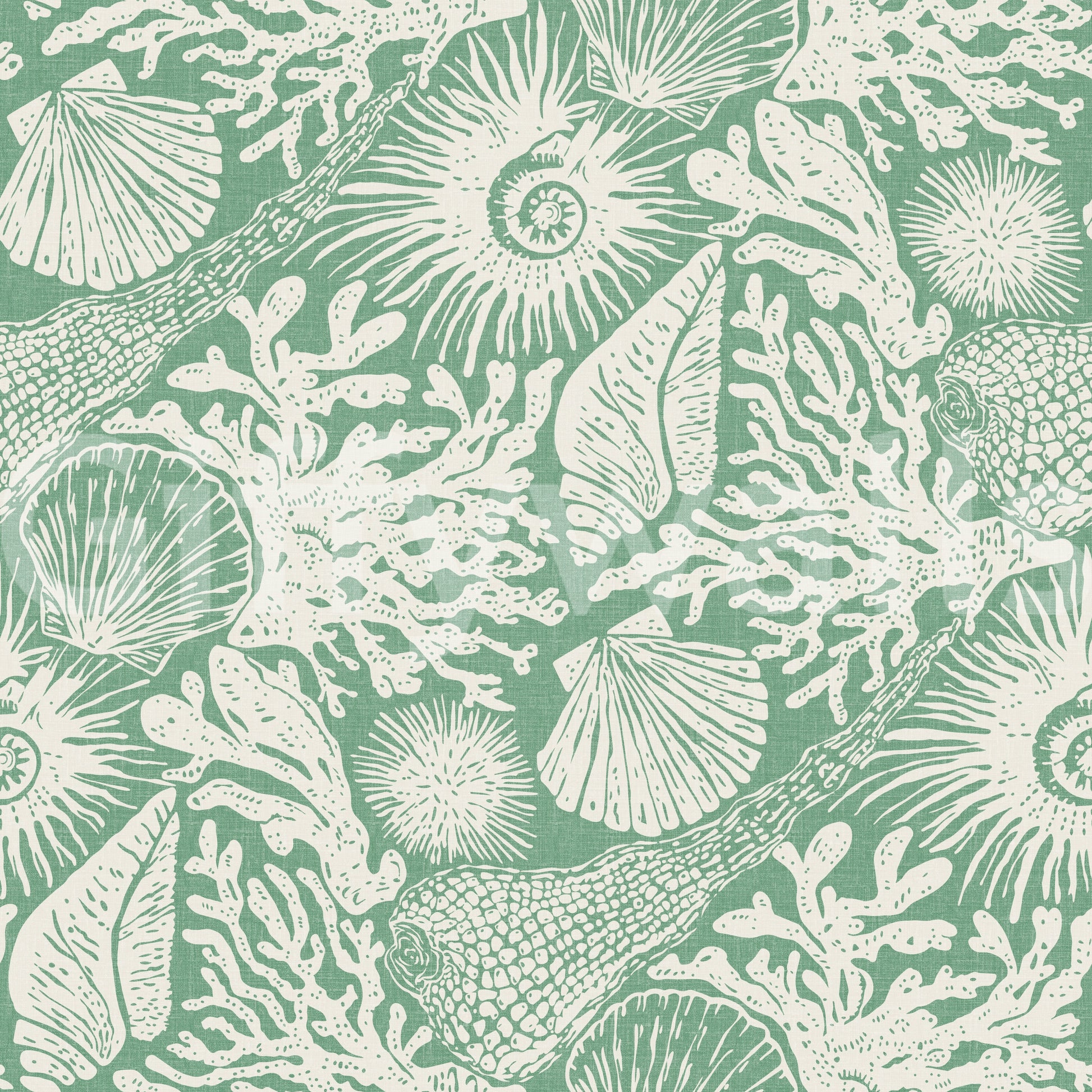 Continuous coastal sketchbook layout across boho seashell aqua green wallpaper