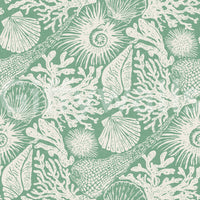 Continuous coastal sketchbook layout across boho seashell aqua green wallpaper