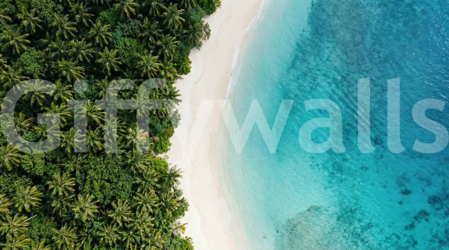 Tropical Shoreline  Wall Mural