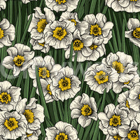 Yellow hearts glow at the center of each bloom in the Daffodils wallpaper