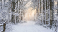 Crisp white snow features in the misty winter forest glow wall mural.