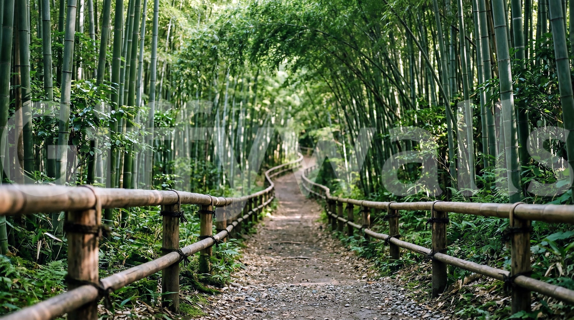 The path bends and fades into deep green in this bamboo wall mural.