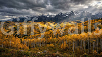 Crisp detail holds steady on the Autumn's Golden Embrace mountain wall mural
