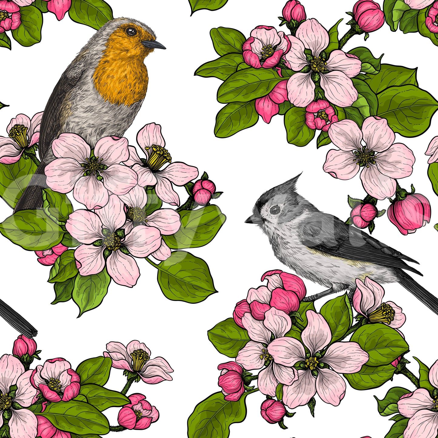 Illustrated style of robin and titmouse sits in Birds and Blossoms wallpaper detail.