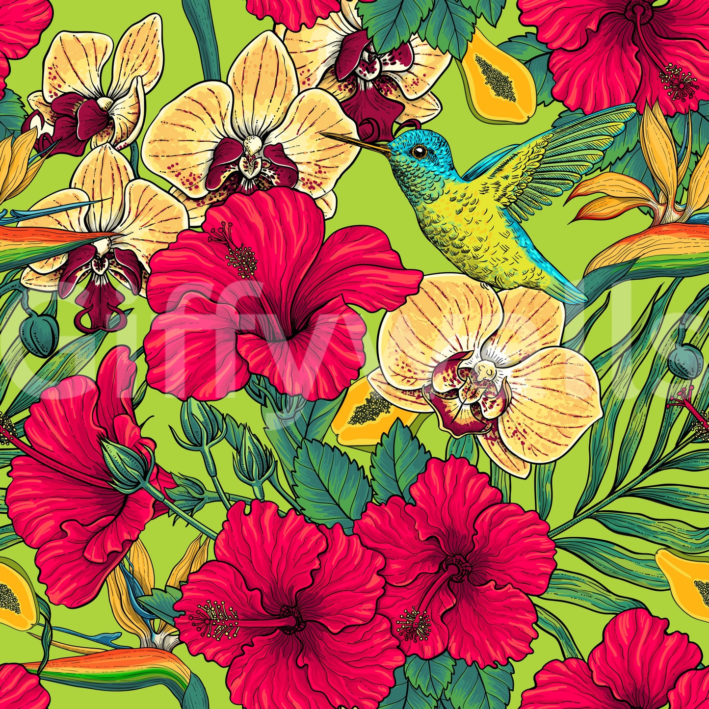 Detailed birds rest on the Tropical Florals and Hummingbird wallpaper.