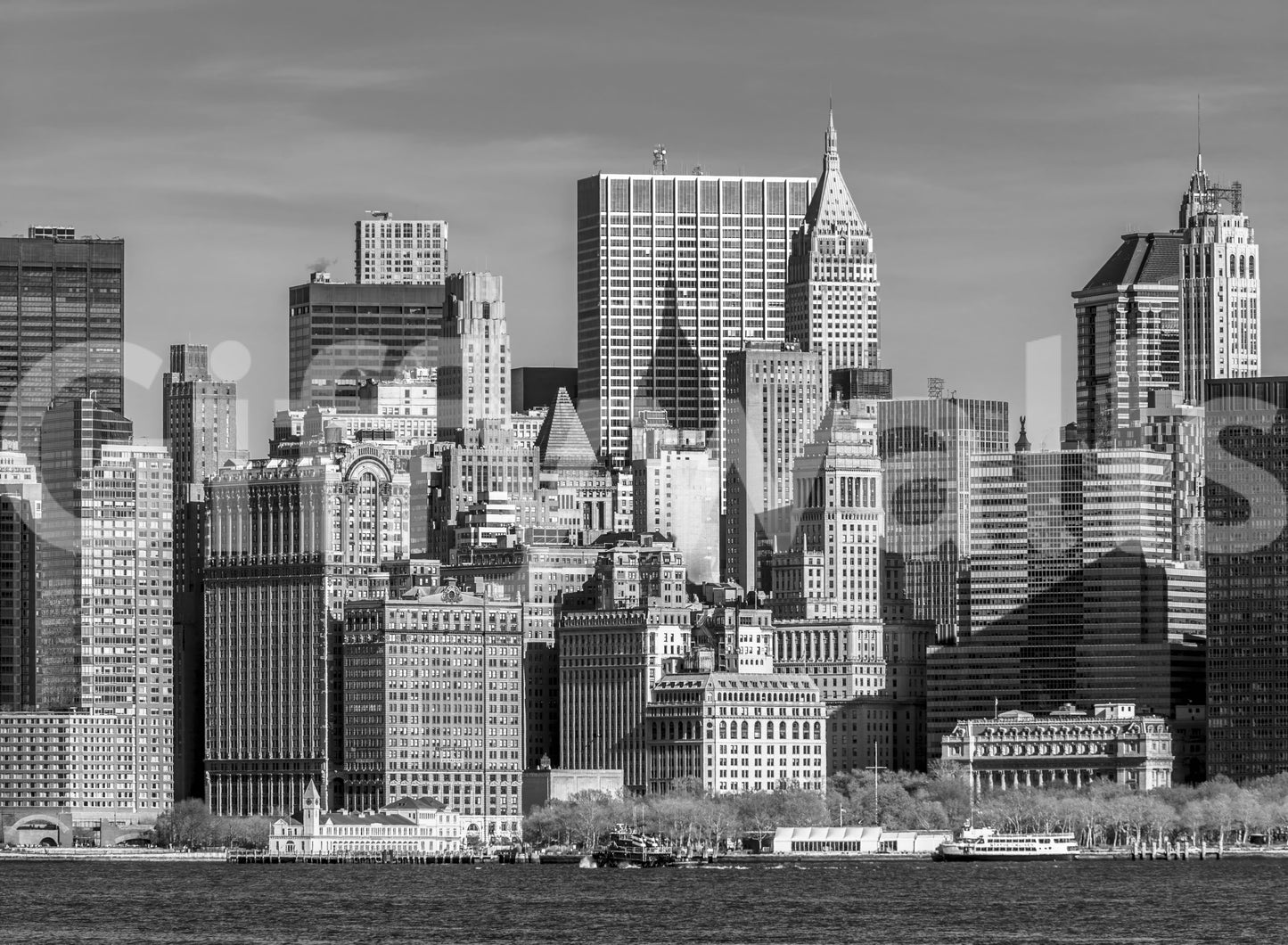 Manhattan Monochrome Majesty Wall Mural
