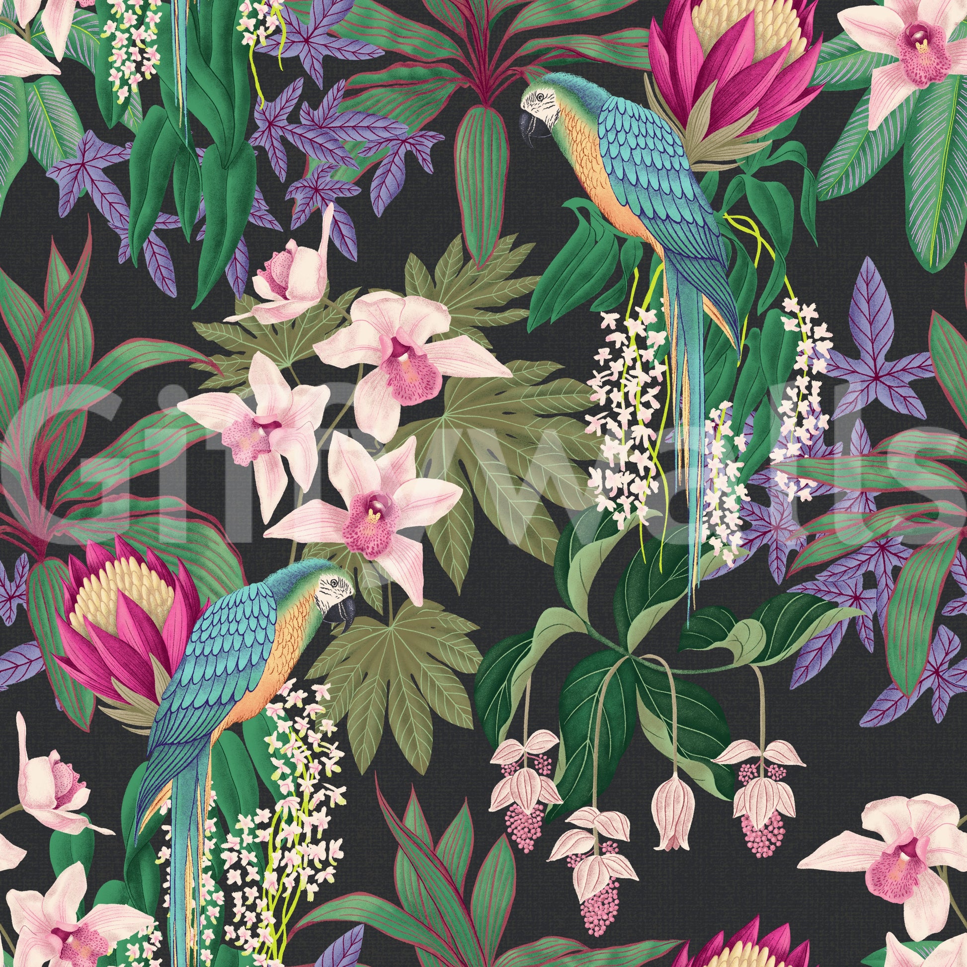 Tropical bird wallpaper with orchids, foliage, and deep background