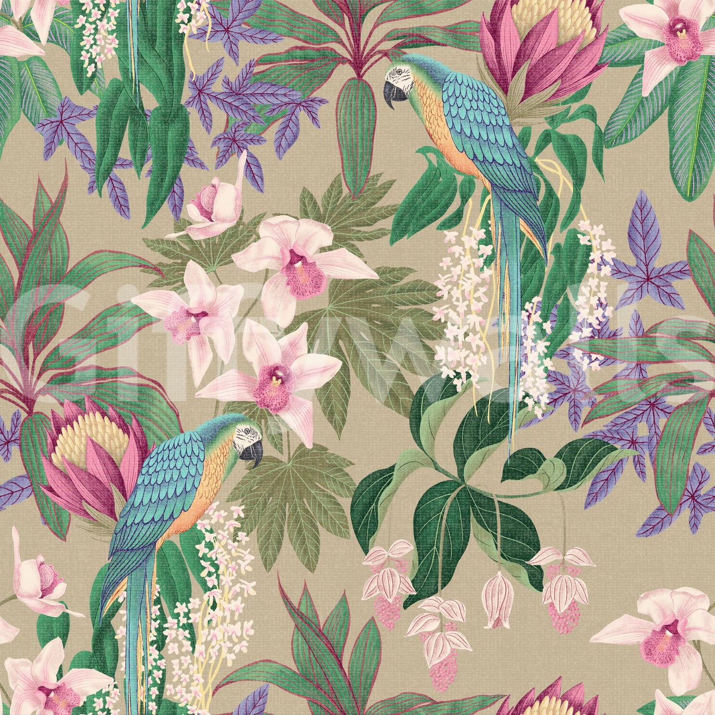 Tropical Macaw & Orchid Bloom wallpaper with garden-style leaf artwork