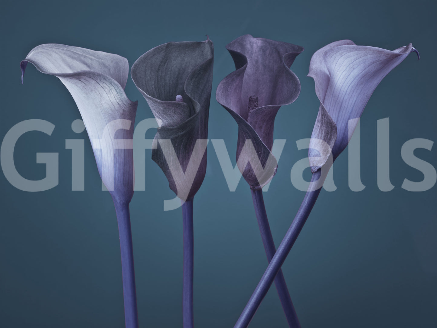 Twilight Petal Dance Wall Mural