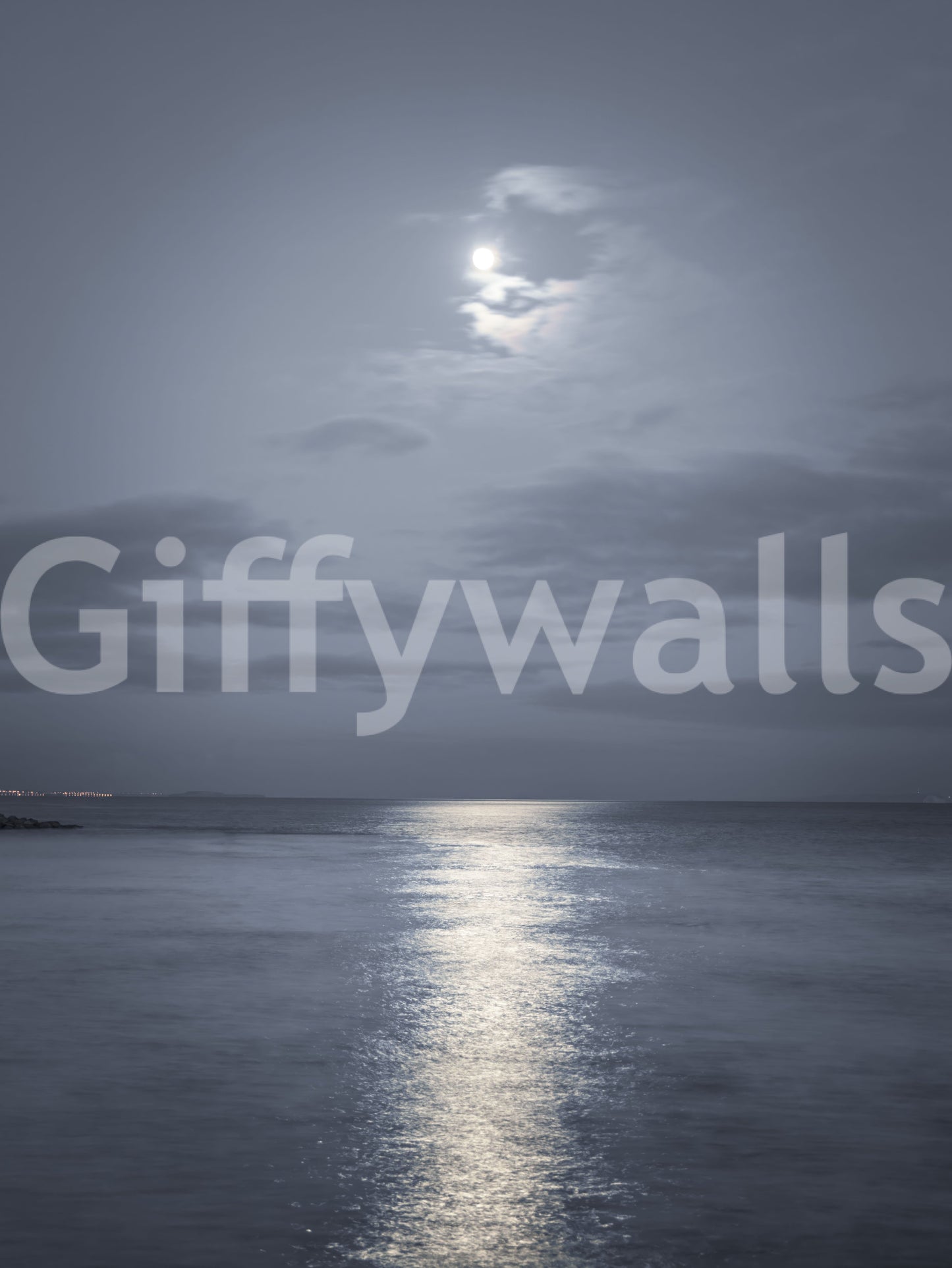 Moonlit Ocean Serenity Wall Mural