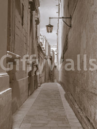 Old-world alley view defines the Timeless Passage wall mural