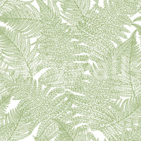 Matte surface holds crisp linework on Serene Wallscapes Fern wallpaper without glare