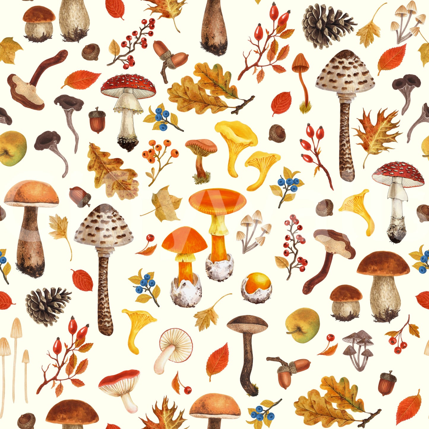 Wild mushrooms on off white Wallpaper⁠