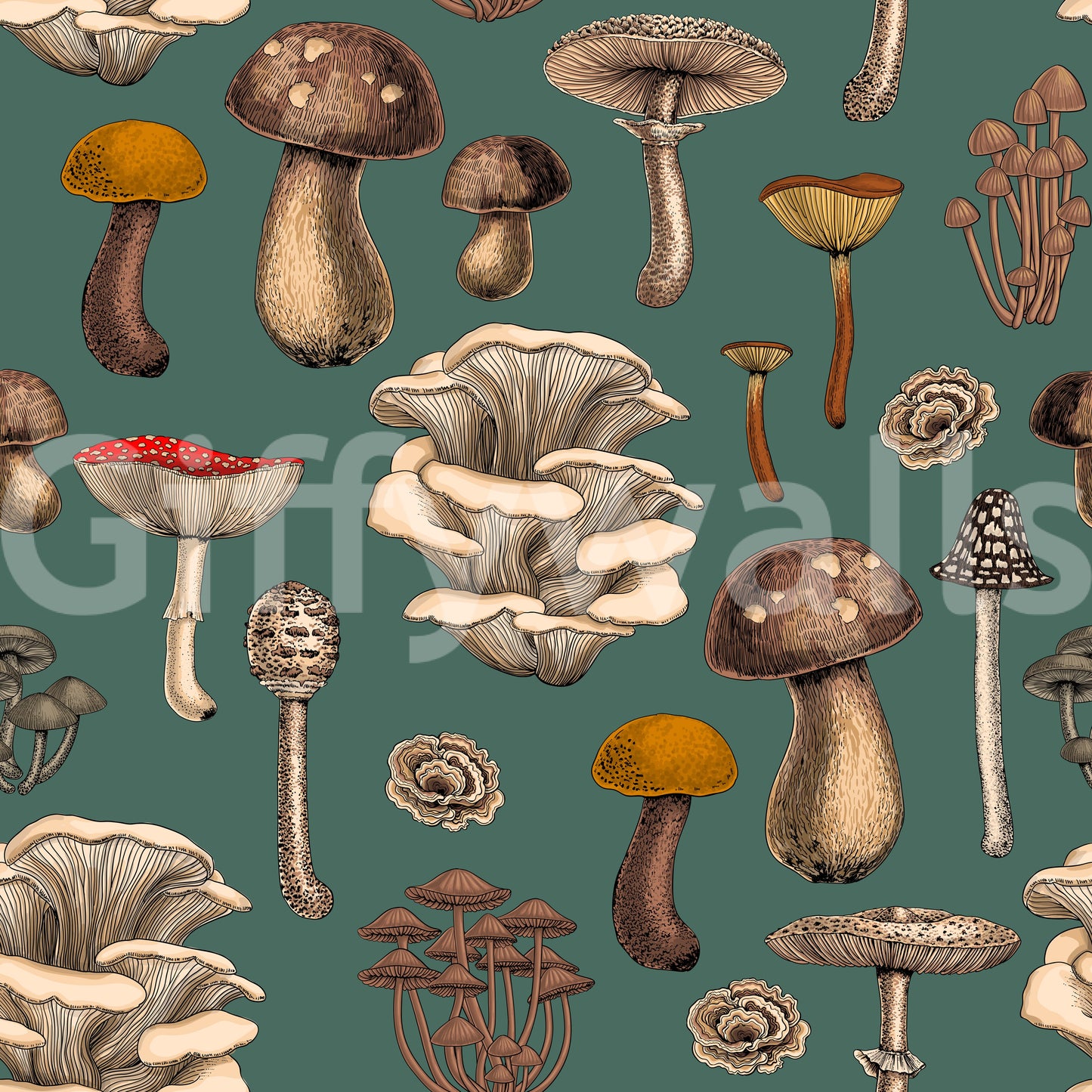 Wild Mushrooms  on pine green Wallpaper⁠
