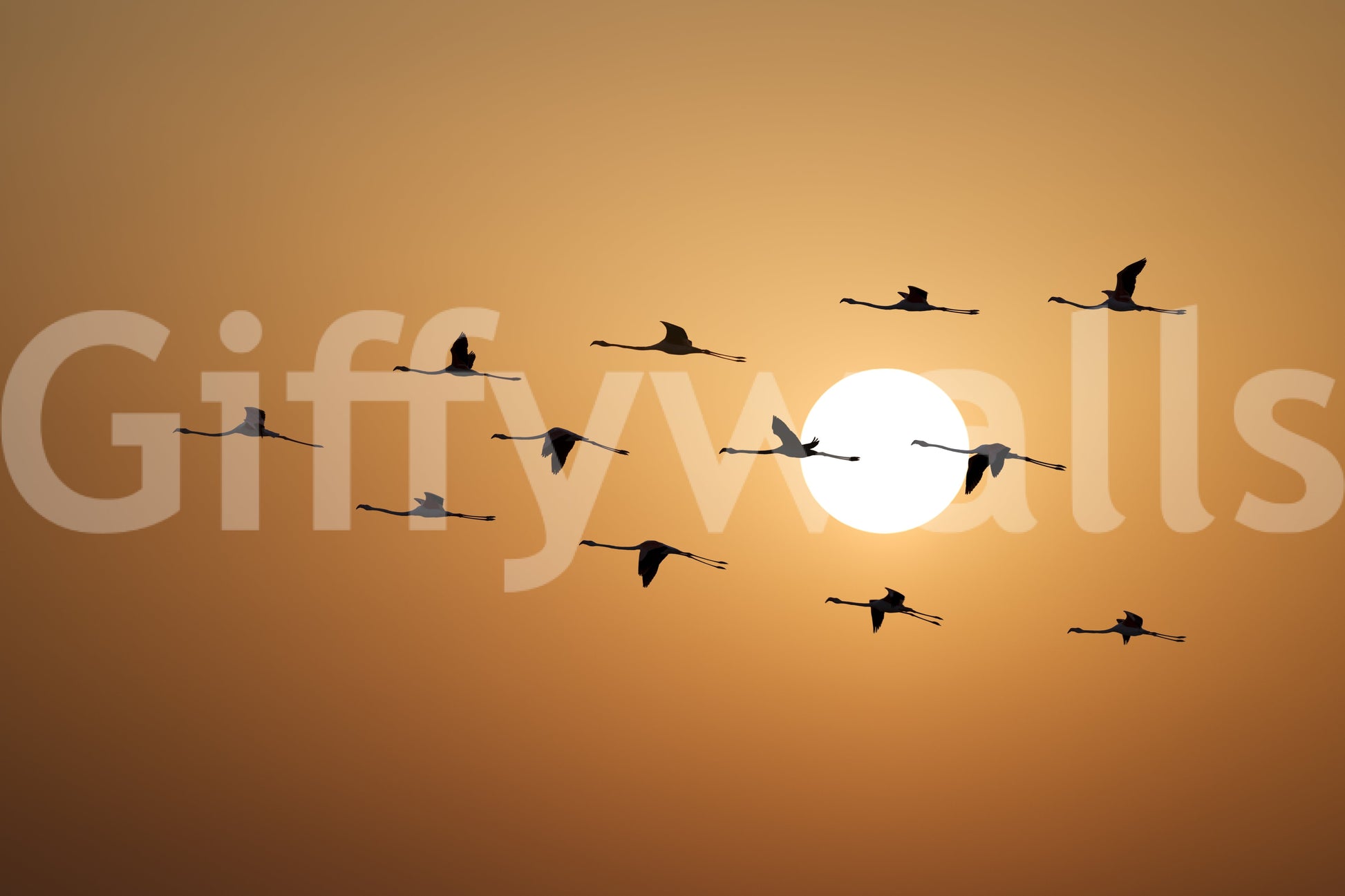 Golden landscape wall mural with birds and distant horizon