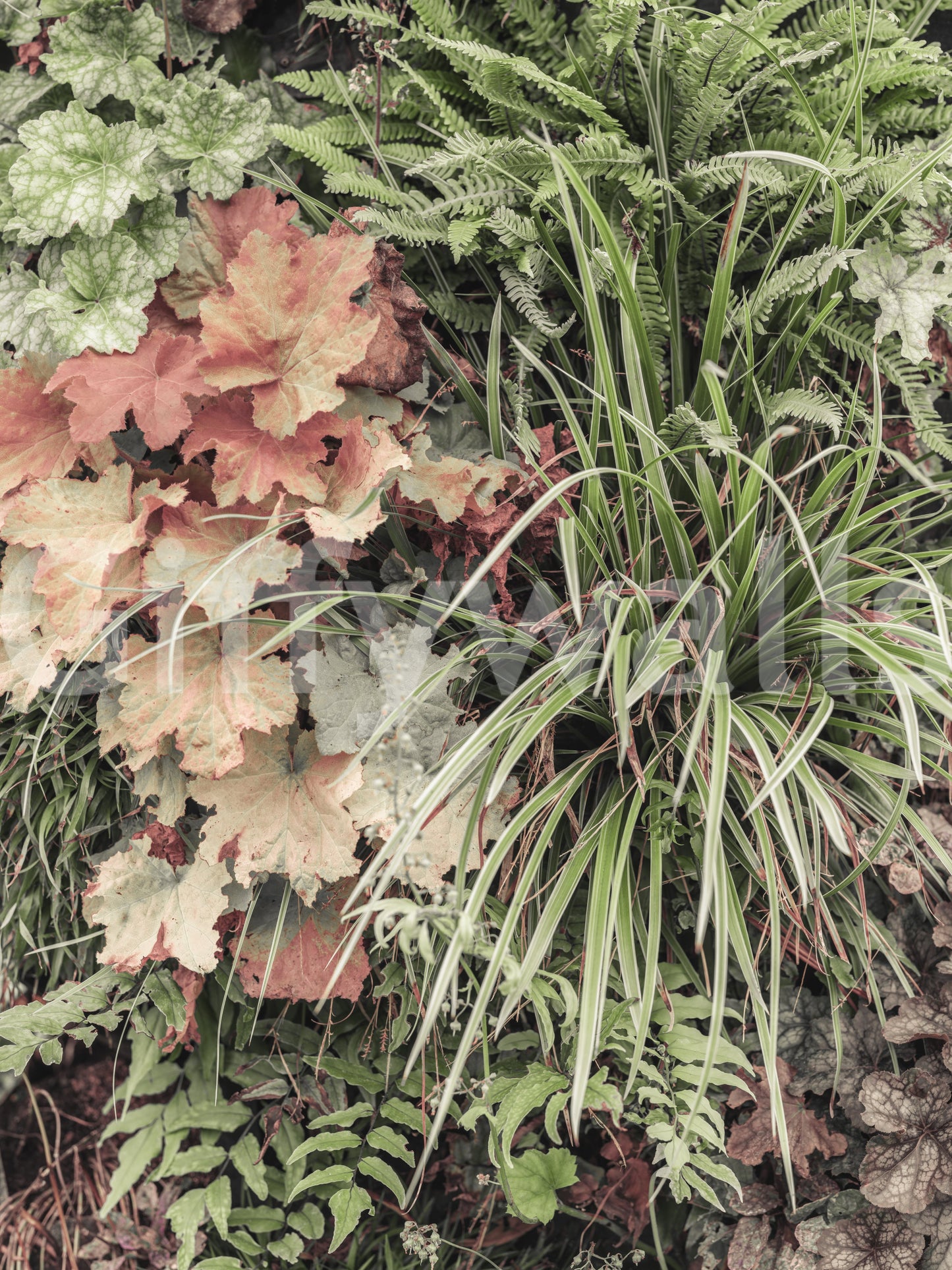 Muted Garden Layers Wall Mural