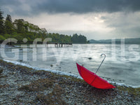 Crimson Accent on Lake District Shore Wall Mural