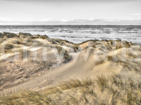 Dune Winds and Coastal Tide Wall Mural