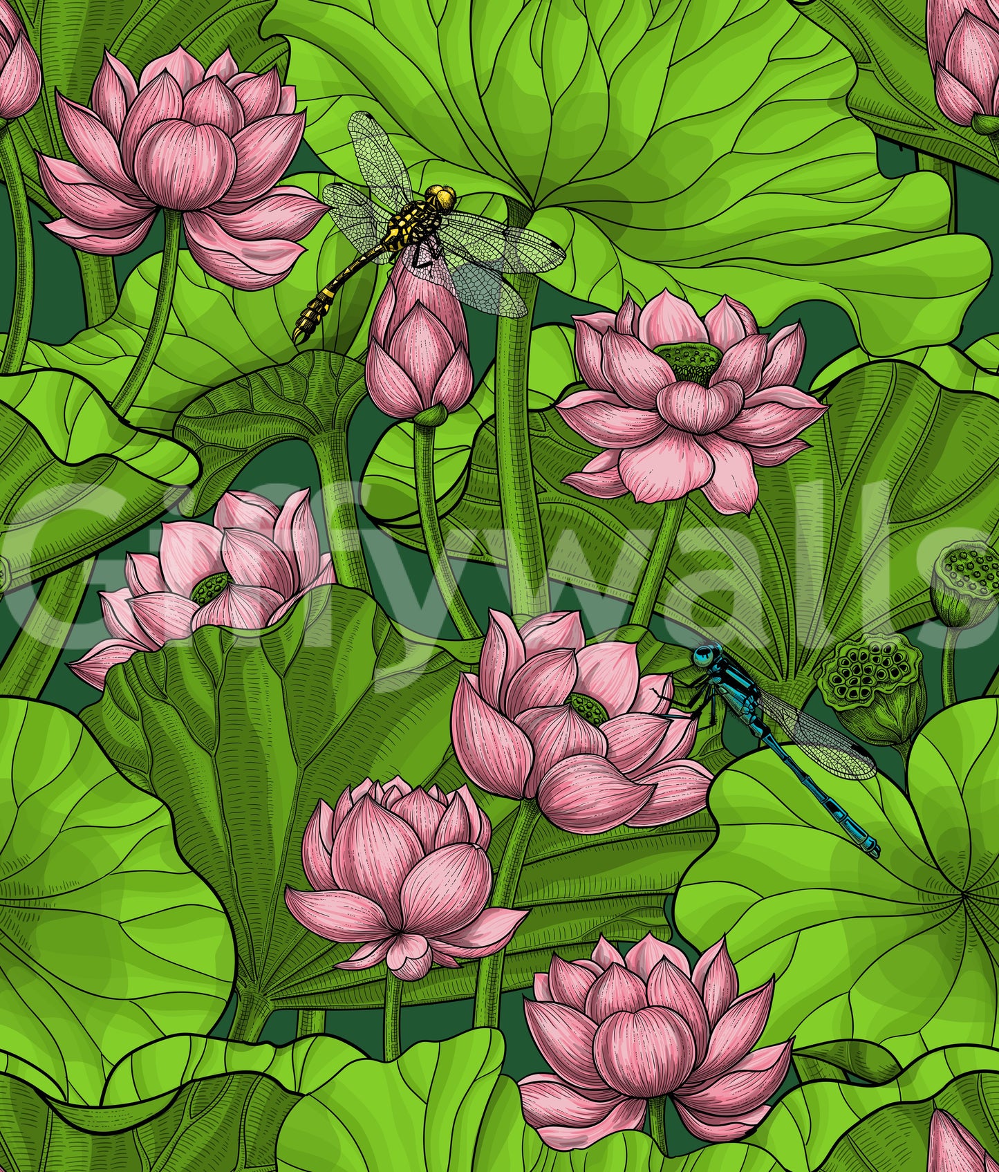 Zen Lotus Pond with Dragonflies Wallpaper⁠