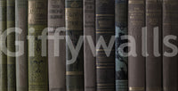 Vintage Library Book Spine Collection Wall Mural
