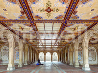 Minton Tile Architectural Archway Wall Mural